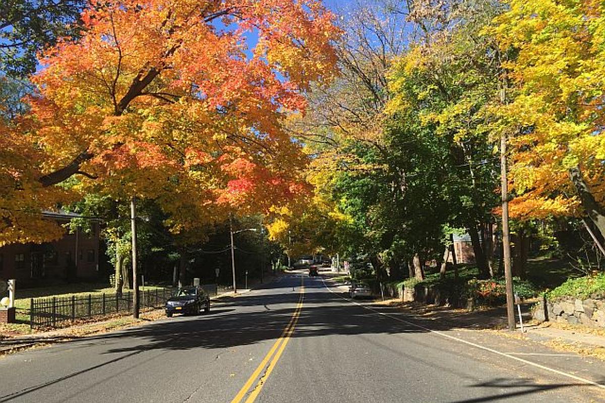 Autumn in Roslyn