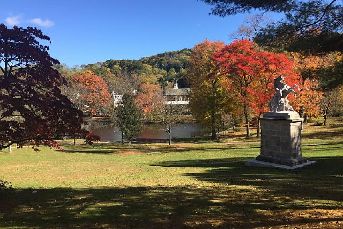 Autumn in Roslyn